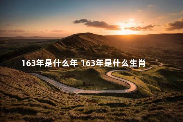 163年是什么年 163年是什么生肖
